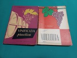 LOT 2 CĂRȚI VITICULTURĂ: VINIFICAȚIA PRACTICĂ, VITICULTURA / 1962 * 30