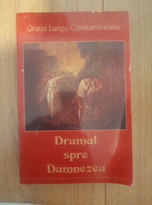 Drumul spre Dumnezeu - Gratia Lungu Constantineanu foto