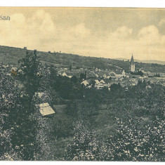 4676 - CISNADIE, Sibiu, Panorama, Romania - old postcard - used - 1917