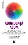 Abundenţa acum. Amplifică-ţi viaţa şi obţine prosperitatea astăzi - Paperback brosat - Lisa Nichols, Janet Switzer - Niculescu