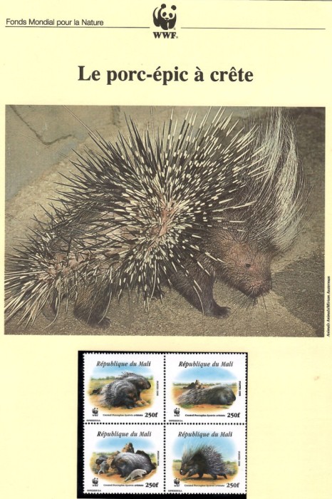 Mali 1998 - Porcupin crestat. Set WWF, 6 poze, MNH, (vezi descrierea)