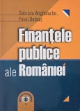 Finantele publice ale Romaniei - Gabriela Anghelache, Pavel Belean