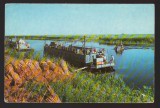 CPIB 22319 - CARTE POSTALA - DELTA DUNARII IN ZONA MATITEI, NECIRCULATA