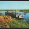 CPIB 22319 - CARTE POSTALA - DELTA DUNARII IN ZONA MATITEI, NECIRCULATA