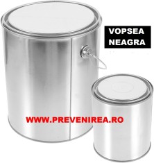 Vopsea pentru asfalt si beton neagra foto