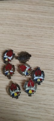 lot emblema pionieri foto