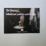 Brancusi, banatean pentru patru luni - Catalog Consiliul Judetean Timis, Timisoara