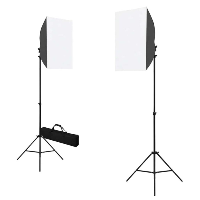 vidaXL Lumini de studio profesionale, 2 buc., negru, 40 x 60 cm, oțel
