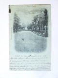 Rară! Carte poștală Iași circulată 1899:Salutări din Iasi-Grădina Copou