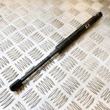 Amortizor Haion Stanga Tesla Model 3 2018 OEM 1091560-00-B 10880736