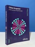 Călăul Dragostei Si alte povesti de psihoterapie - Irvin D. Yalom