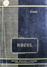 NUCUL, V. COCIU foto