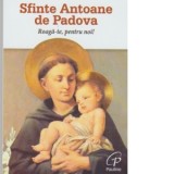Sfinte Antoane de Padova. Roaga-te pentru noi!