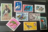 Lot Păsări Lumea &Icirc;ntreagă - Lituania Barză Neagră, Dominica, Congo, TAAF, Maldive Romb, DDR, 9v -A333