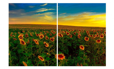 Tablou multicanvas 2 piese Flori 13, 100 x 70 cm foto