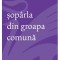 Soparla Din Groapa Comuna, Nora Iuga - Editura Art