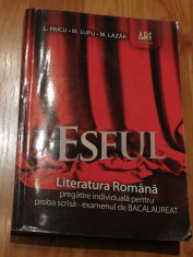 ESEUL. Limba romana pentru examenul de bacalaureat de L. Paicu si M. Lupu foto
