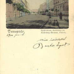 Timisoara litografie 1900