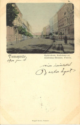 Timisoara litografie 1900 foto