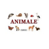 Animale - pliant cartonat |