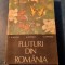 Fluturi din Romania I. Stanoiu