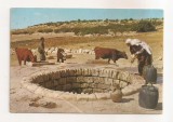 FA113 -Carte Postala- ISRAEL - Arab woman drawing water from a well, circulata