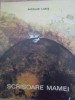 Scrisoare Mamei. Versuri Copii - Nicolae Labis, Ilustratii Mihu Vulcanescu, Editura Tineretului 1968, Poezii Ilustrate