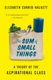 The Sum of Small Things | Elizabeth Currid-Halkett, Princeton University Press