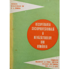Recuperarea Socioprofesionala A Nevazatorilor Din Romania - Colectiv ,559856