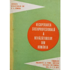 Recuperarea Socioprofesionala A Nevazatorilor Din Romania - Colectiv , J147