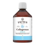 COLAGENUS ARTICULATII 500ML, Faunus Plant