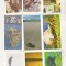 bnk crc Brooke Bond Tea - Enigme neexplicate - 33 bucati