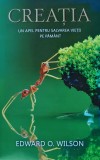 Cumpara ieftin Creația. Un apel pentru salvarea vieții pe păm&acirc;nt - 2006 - Edward O. Wilson (H425)