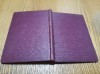 DRUMUL CU PLOPI - Cezar Petrescu - Editura Cutura Nationala, 1924, 159 p