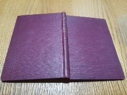 DRUMUL CU PLOPI - Cezar Petrescu - Editura Cutura Nationala, 1924, 159 p foto