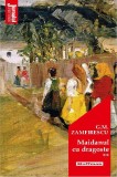 Maidanul cu dragoste. Volumul 2 | George Mihail Zamfirescu, Hoffman