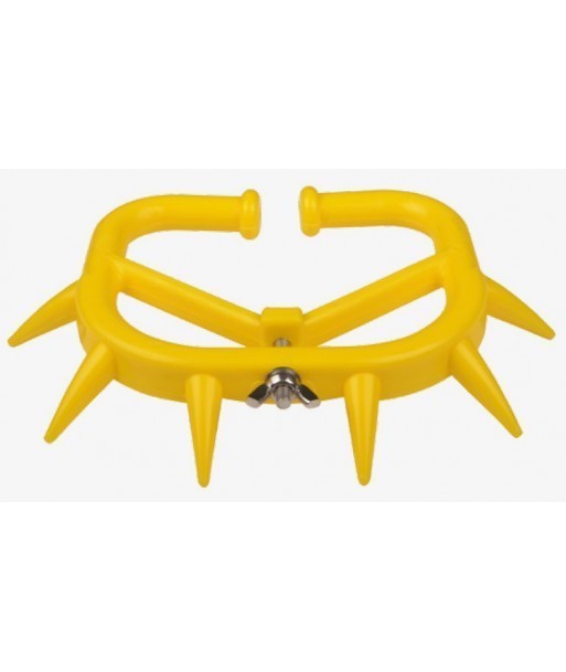 Dispozitiv de intarcat vitei