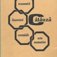 Calauza economica-financiara-contabila, Volumul al IV-lea - Mijloacele banesti