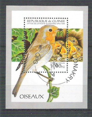 Guinee 1995 Birds, perf. sheet, used AB.084 foto