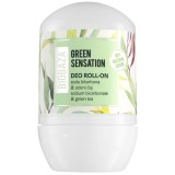 Deodorant natural cu piatra de alaun pentru femei Green Tea Sensation, 50ml, Biobaza