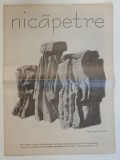 EXPOZITIE DE SCULPTURA SI DESEN NICAPETRE LA SAPTEZECI , 2006