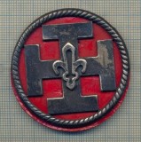 Y 1118 INSIGNA VECHE -CERCETASIE-CERCETASI-SCOUTS DE FRANCE -PENTRU COLECTIONARI