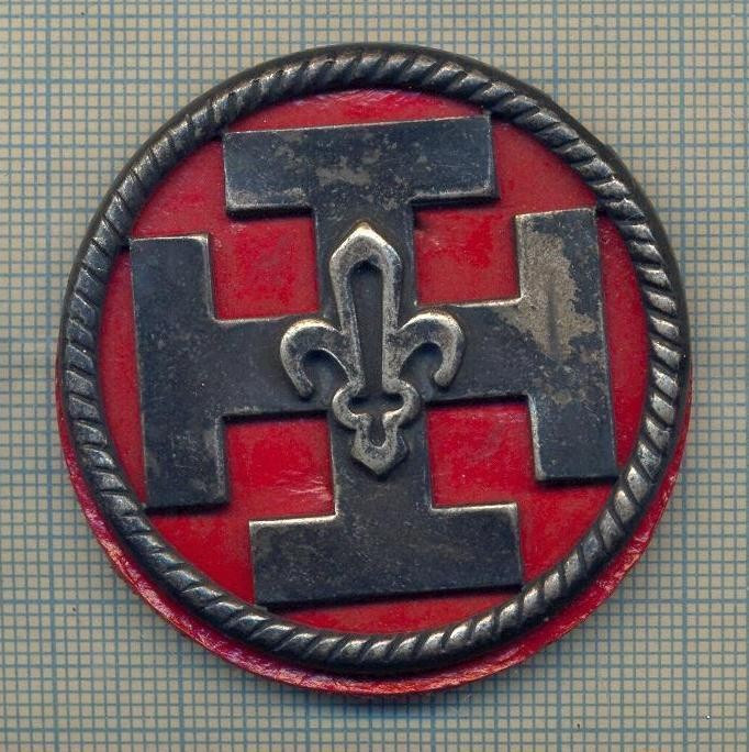 Y 1118 INSIGNA VECHE -CERCETASIE-CERCETASI-SCOUTS DE FRANCE -PENTRU COLECTIONARI