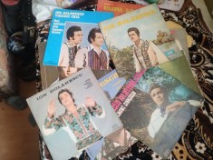 Vinil Lot de 11 viniluri LP muzică populara