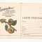 CA9 -Carte Postala-Buletin de avertizare- Impotriva Rapanului ,necirculata