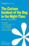 The Curious Incident of the Dog in the Night-Time
