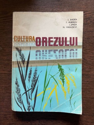 I Badea Cultura Orezului foto