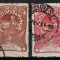 Romania 1906, LP.57 - Torcătoarea, Ștampilat