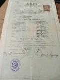 Act Diploma Pozoritta 1890 Czernowitz Cernăuți