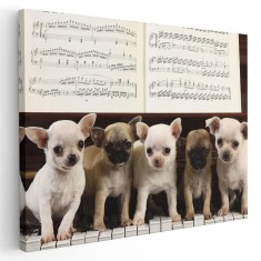 Tablou catei Chihuahua pe clape pian Tablou canvas pe panza CU RAMA 20x30 cm